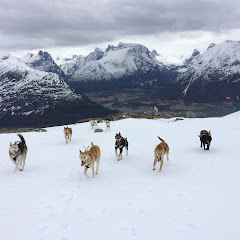 Troll Mushing