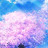 @さき-m5y7e