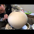 f--haixGUIU-channel-avatar-Hsinchuen Lin