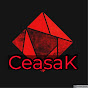 CeasaK official logo