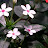 @k-cooptv.1814