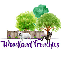 Woodland Frenchies Avatar