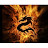 @superfireness24's avatar