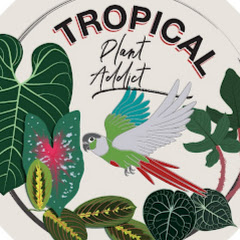 Tropical Plant Addict Avatar