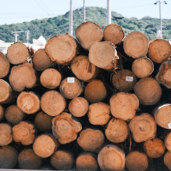 KAKU WOODアイコン画像