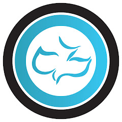 Cornerstone Chapel - Leesburg, VA net worth