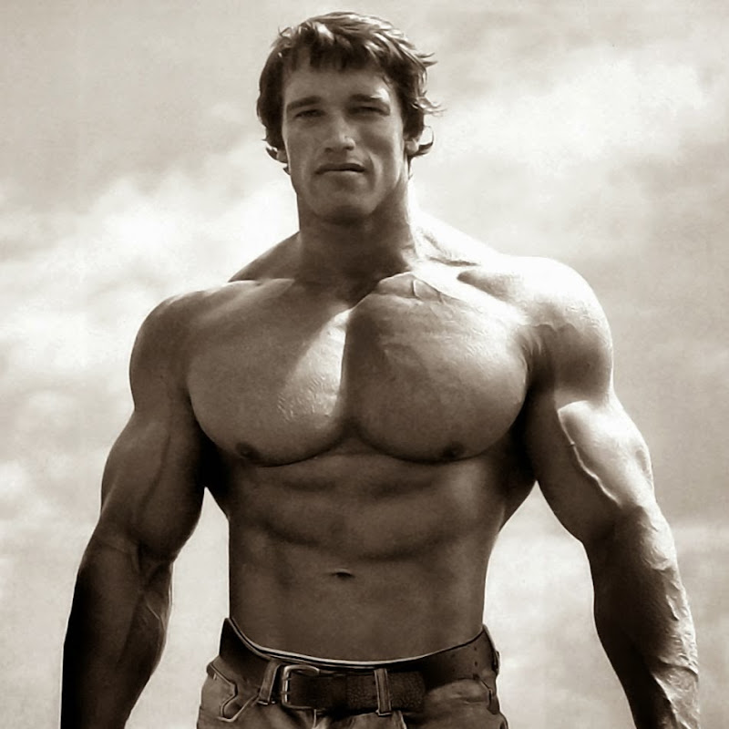 bodybuilding