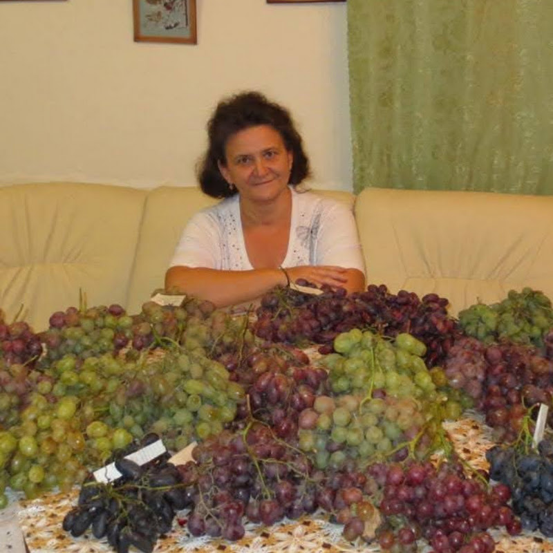 Наталья Пузенко Logo