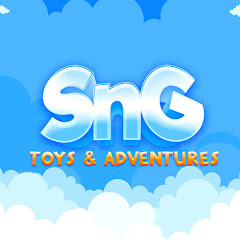 sng toys net worth