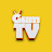 껌TV