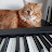 @oddgeirvestad's avatar