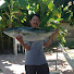 _Q0XIeXqWg8-channel-avatar-Hoang “Michael” Tran