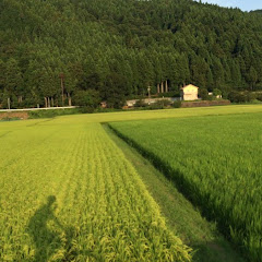 でってゆー