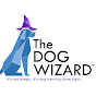 The Dog Wizard Boston logo