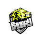 B1urrylive logo