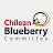 Chilean Blueberry