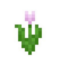 Pink Tulip Avatar