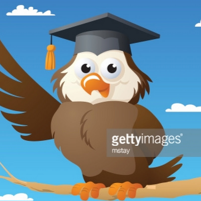 CodingOwl