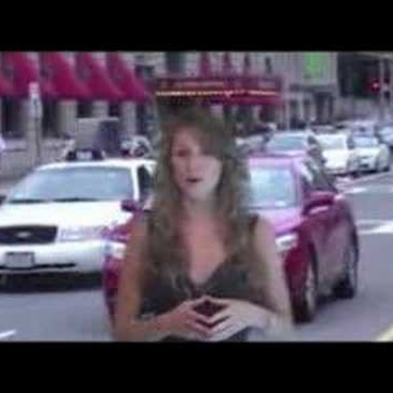 vehicleclips