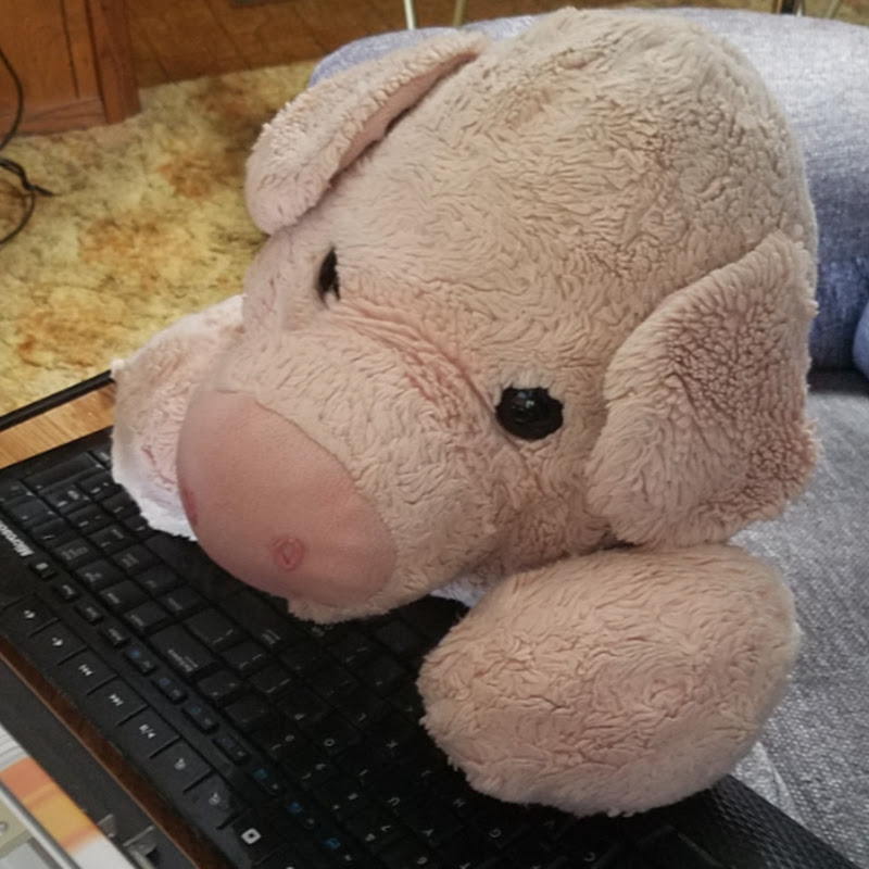 hogziller