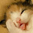 @뜨뜨애청자
