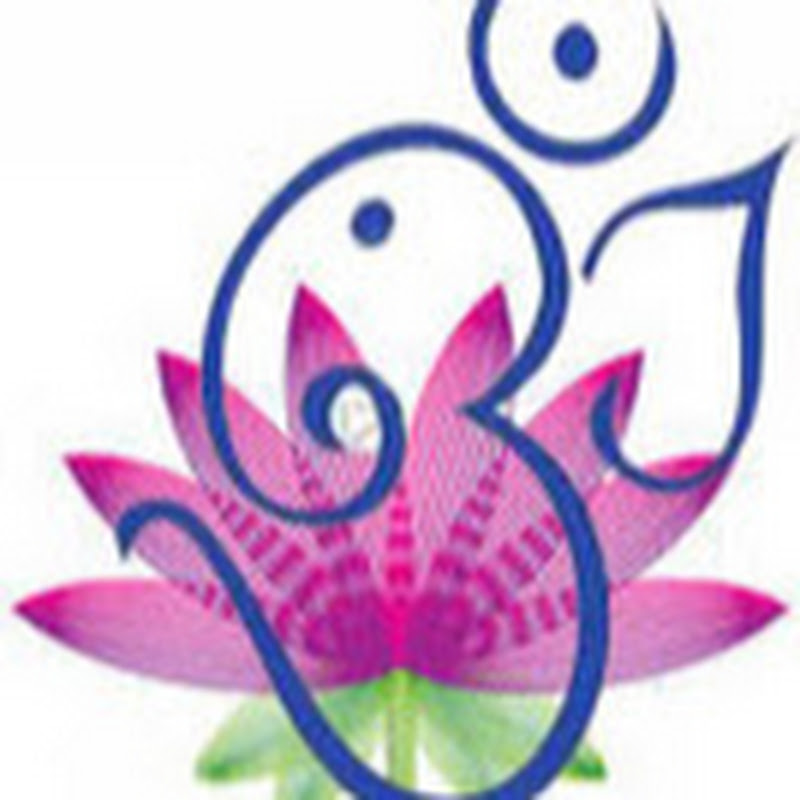 Mogulinterior icon