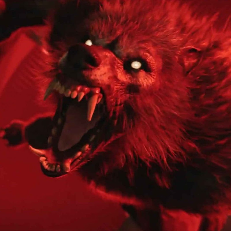 LoneWolfForeverMore