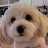 @nancykim5391