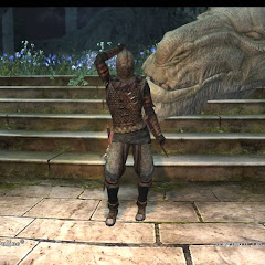 実録、ハウイをゲームに連れてって。