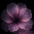 @sivasankari2474 Avatar