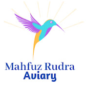 Mahfuz Rudra Aviary