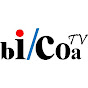 Bicoa “Iberoamerican Research” Global Conference logo