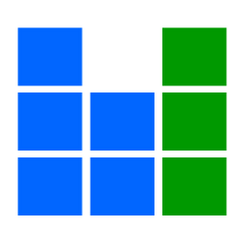 The Crazy Programmer