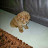 @amerikparmar73's avatar