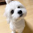@leechanghyeon546