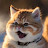 @happyRommi