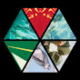 Boards of Canadian Avatar