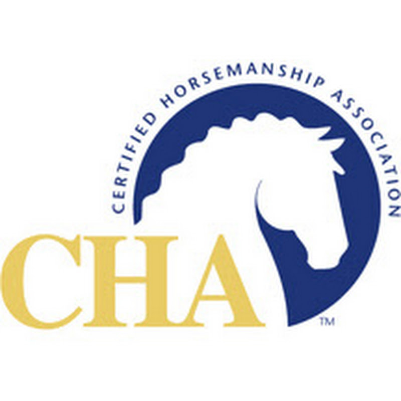 CHA Horse