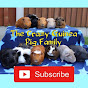 The Crazy Guinea Pig Family logo