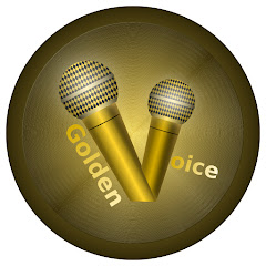 GoldenVoice net worth