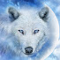 LJyC8WxZRWM-channel-avatar-I AM SNOWY