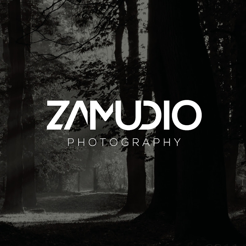 Bob Zamudio
