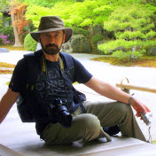 Dan Calinescu