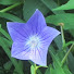 h0iL7TWgSic-channel-avatar-MyongjiKENDO
