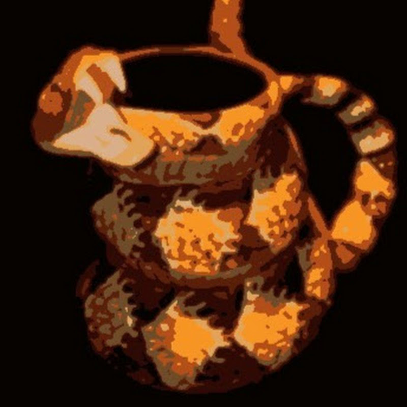 TheSnakeCup Logo