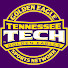 UyoTJ-vWOM4-channel-avatar-TTUsports1