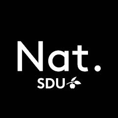 Det Naturvidenskabelige Fakultet, SDU