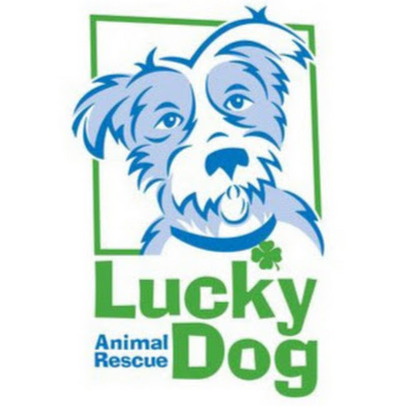 luckydoganimalrescue