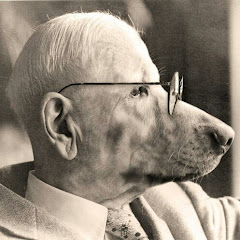 simplicius simplicissimus