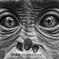 Limbe Wildlife Centre Avatar
